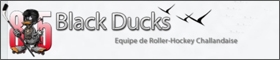 Black Ducks