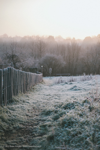Evan Forget – Photographe Nantes – www.evan-forget.fr-3