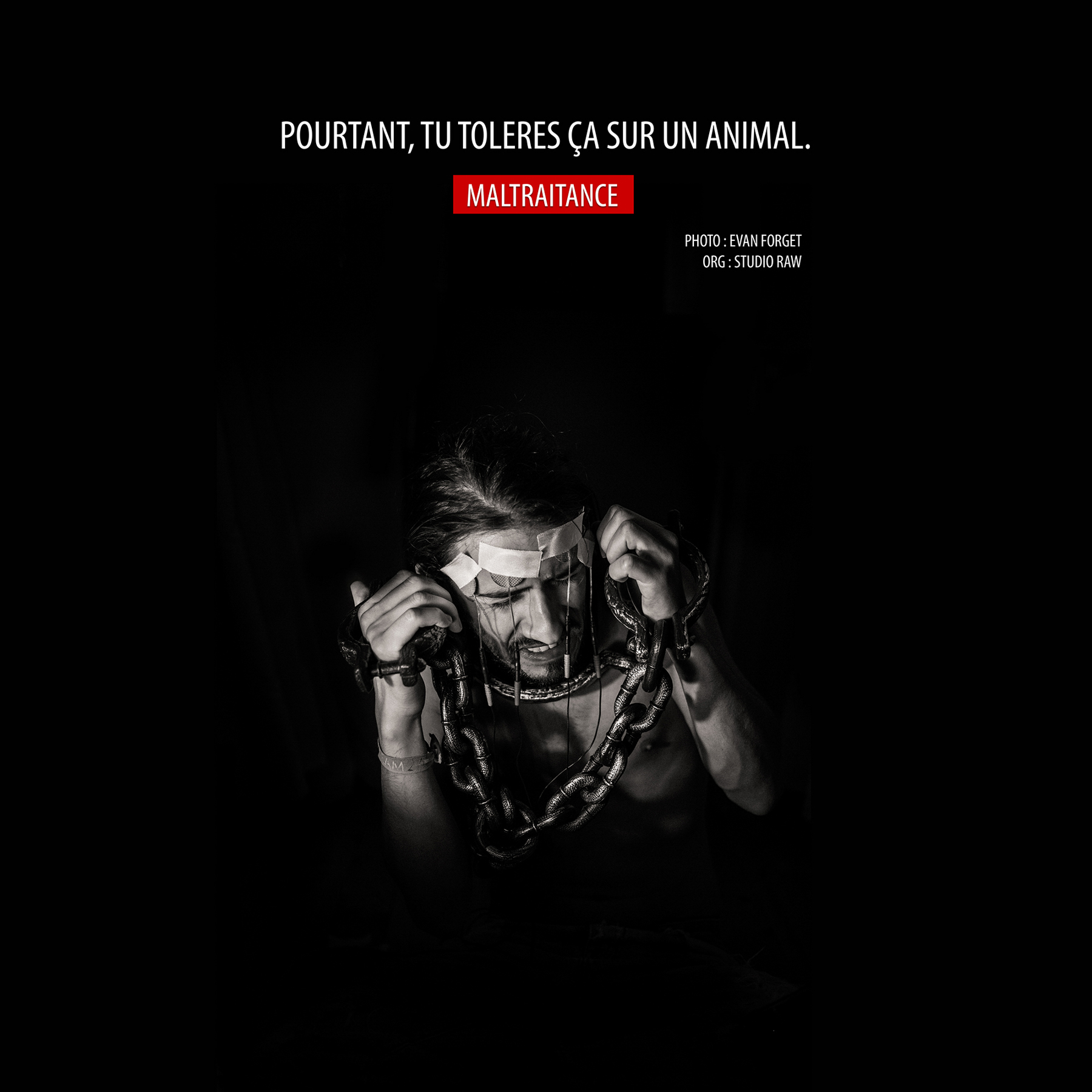 Maltraitance Animale – Evan Forget – 2015 – Photographe sur Nant